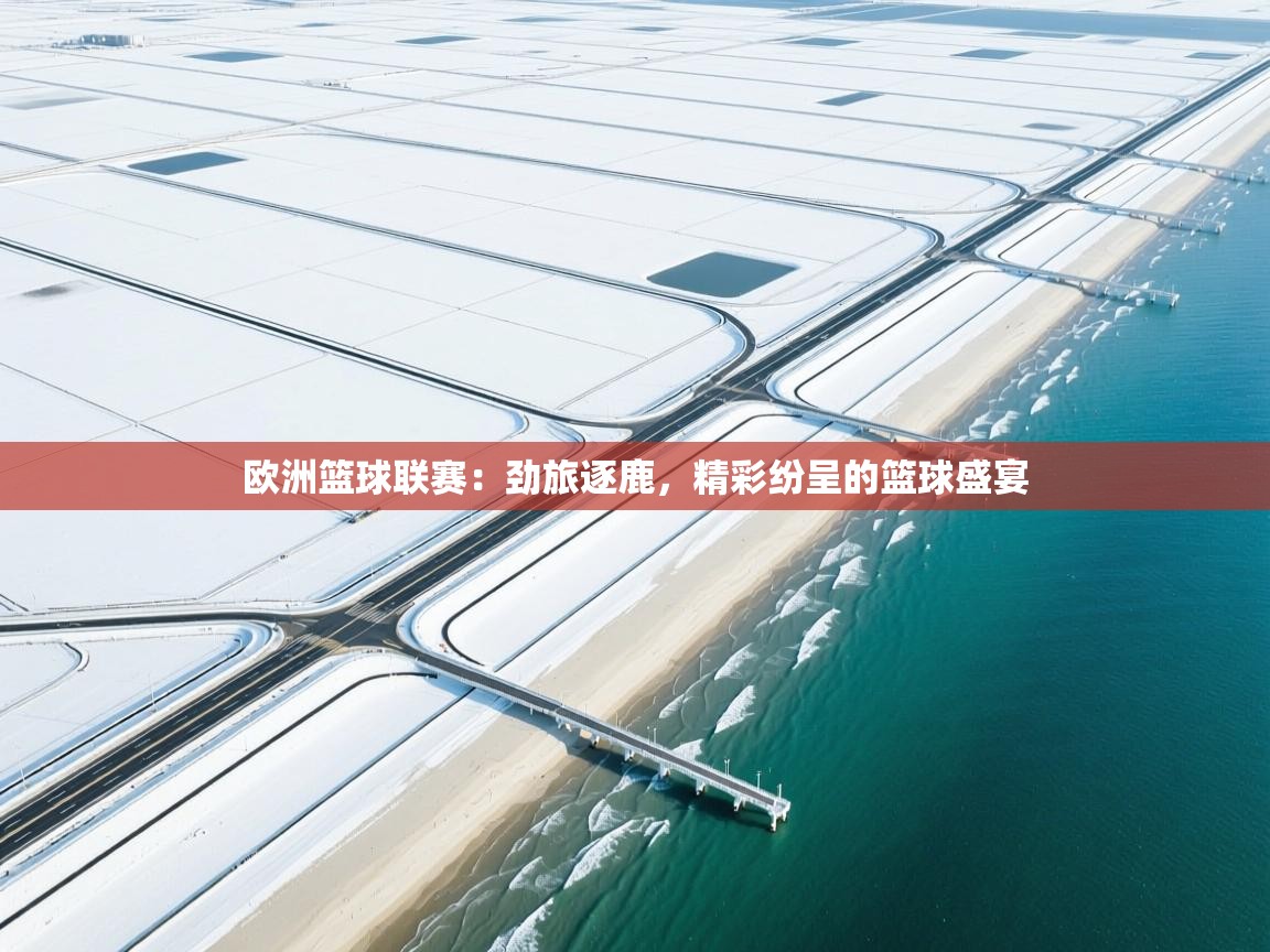 欧洲篮球联赛：劲旅逐鹿，精彩纷呈的篮球盛宴  第1张