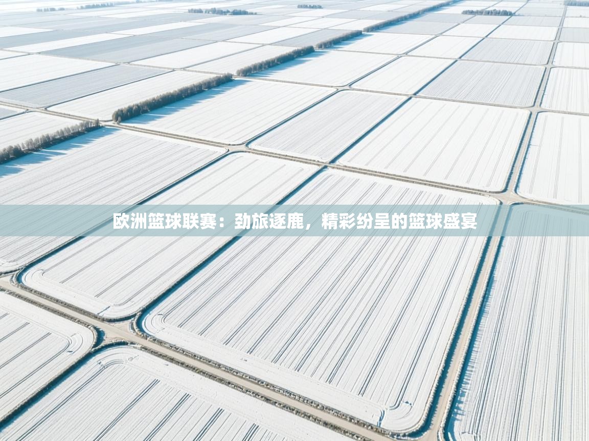 欧洲篮球联赛：劲旅逐鹿，精彩纷呈的篮球盛宴  第2张