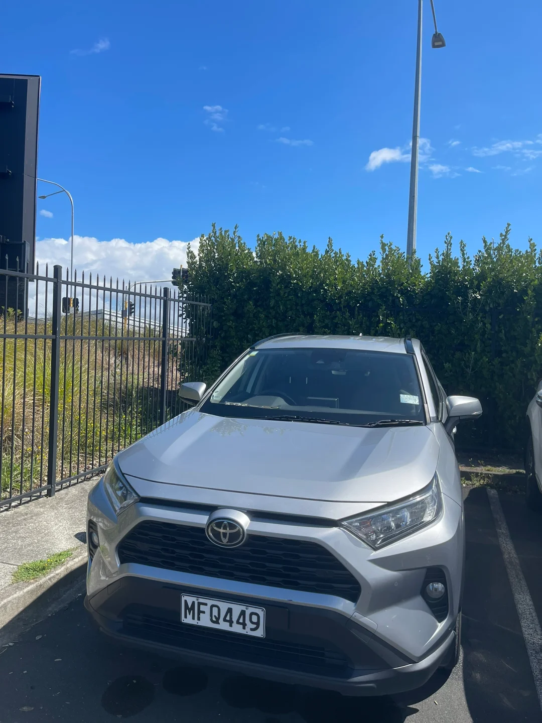 新西兰意外战胜喀麦隆，引发热议