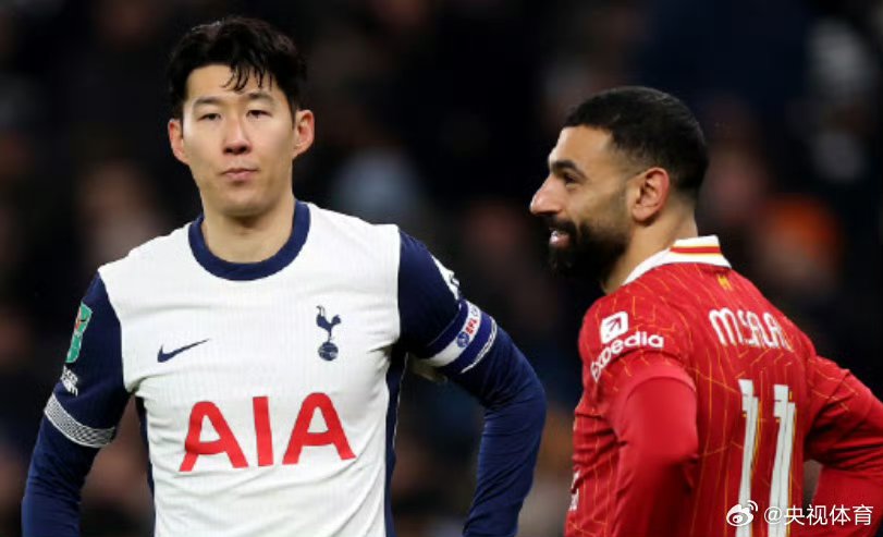 开云体育登录-里尔冲击榜首，主场捍卫领先地位的简单介绍